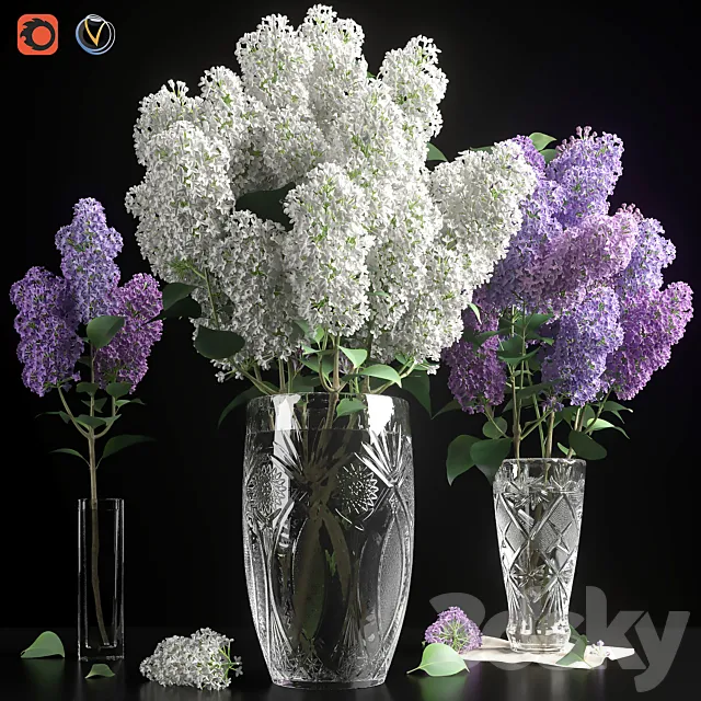 Plants – Flowers – 3D Models Download – 0829