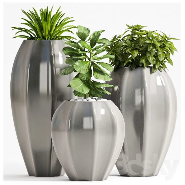 Plants – Flowers – 3D Models Download – 0830