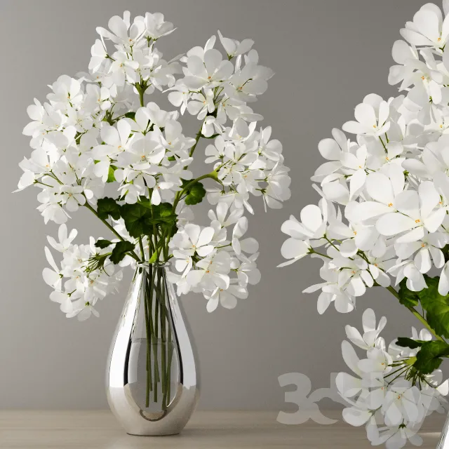 Plants – Flowers – 3D Models Download – 0837