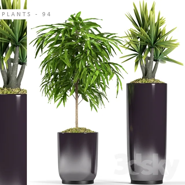 Plants – Flowers – 3D Models Download – 0845