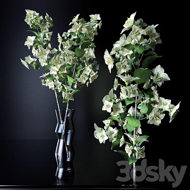 Plants – Flowers – 3D Models Download – A branch of jasmine