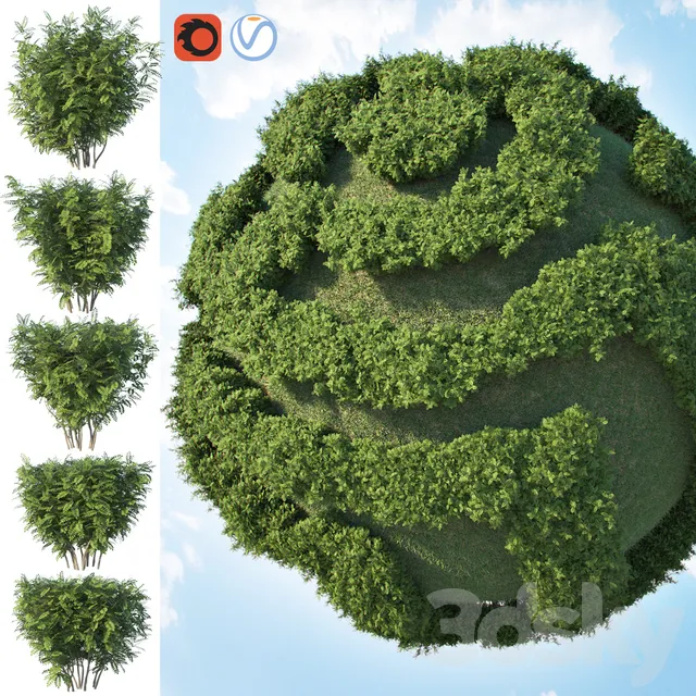 Plants – Flowers – 3D Models Download – Acacia (Set of 2 Bushes)