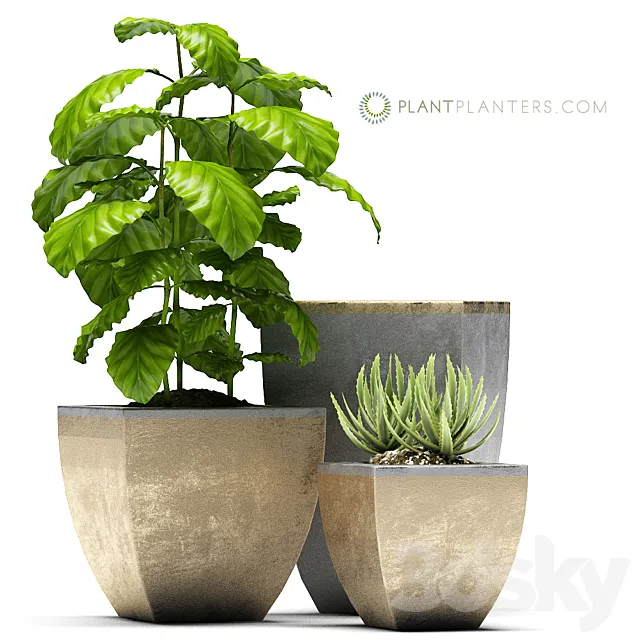 Plants – Flowers – 3D Models Download – Aloe and flower Pots (max 2012; 2015; fbx)