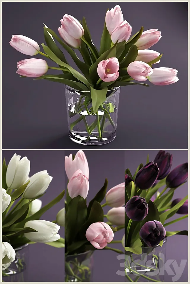 Plants – Flowers – 3D Models Download – Amb.Bouquet of tulips
