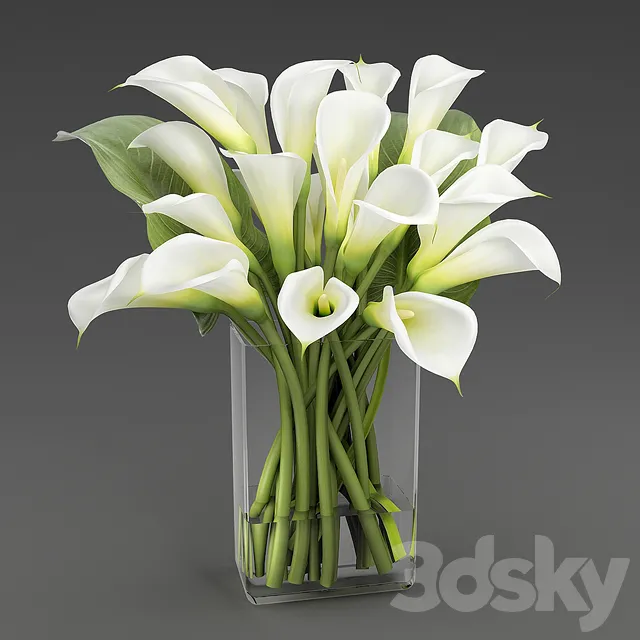 Plants – Flowers – 3D Models Download – Amb.callas