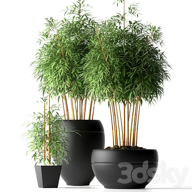 Plants – Flowers – 3D Models Download – BAMBOO PLANTS 18