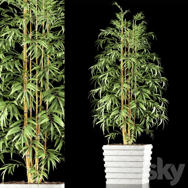 Plants – Flowers – 3D Models Download – Bamboo plants 61