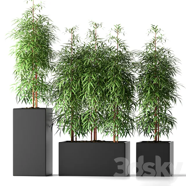 Plants – Flowers – 3D Models Download – BambooPlants20