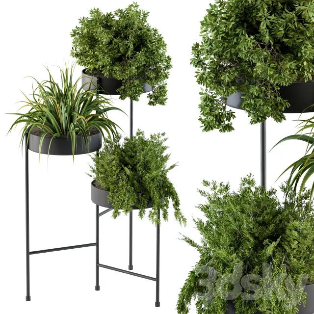 Plants – Flowers – 3D Models Download – Black round plant box