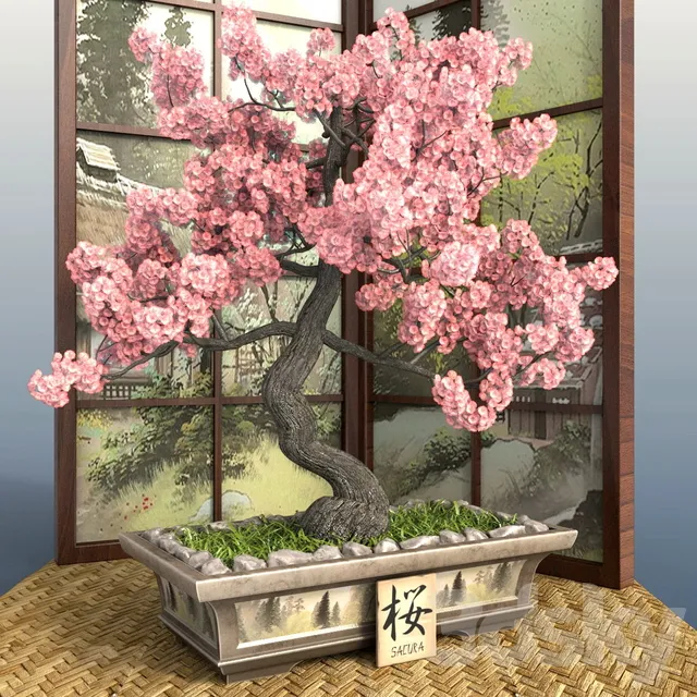 Plants – Flowers – 3D Models Download – Bonsai 1 Sakura