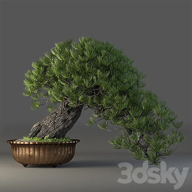 Plants – Flowers – 3D Models Download – Bonsai 3D Model