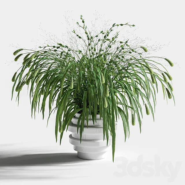 Plants – Flowers – 3D Models Download – Bouquet of grass