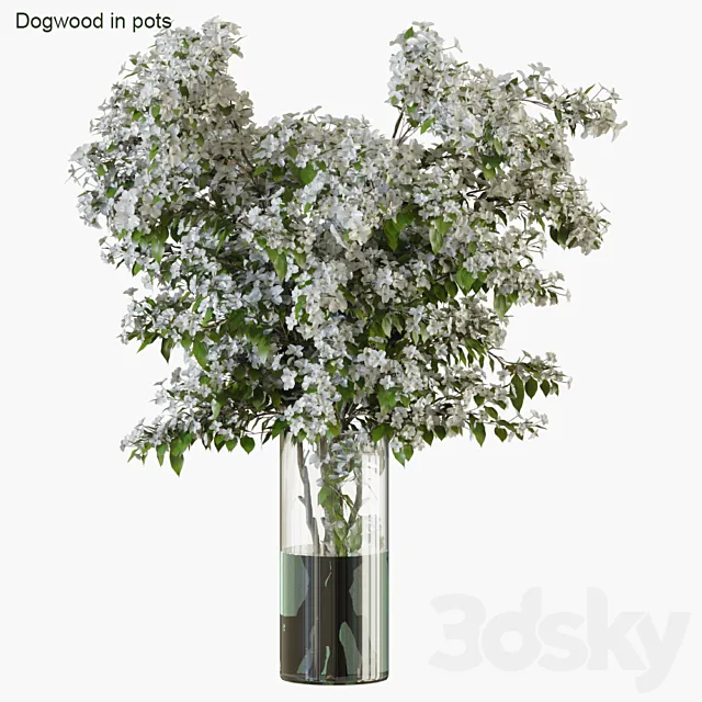 Plants – Flowers – 3D Models Download – Branches in Vases 34 (blooming dogwood)