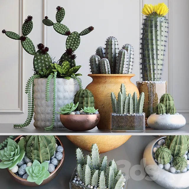 Plants – Flowers – 3D Models Download – Cacti