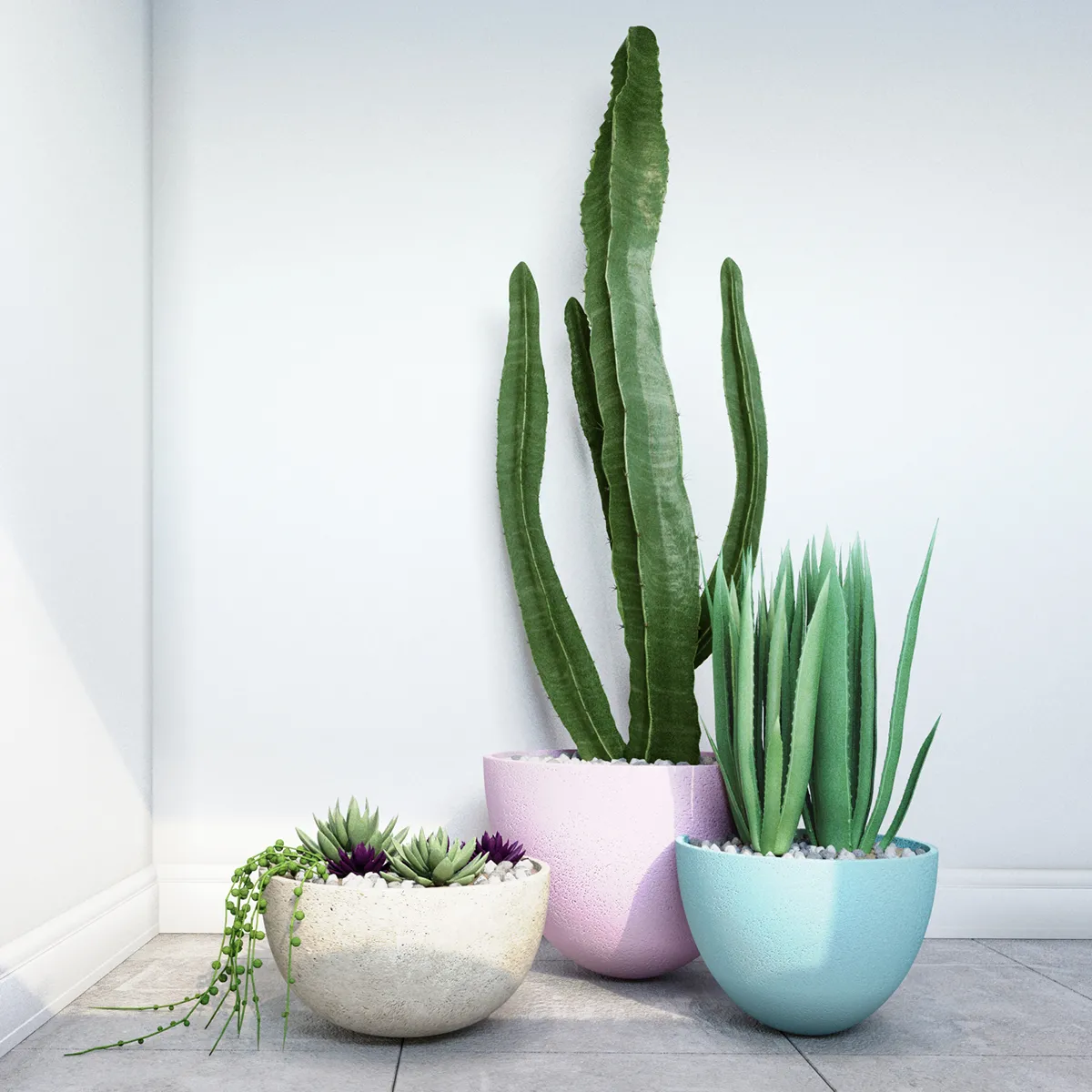Plants – Flowers – 3D Models Download – Cactus (max; fbx)