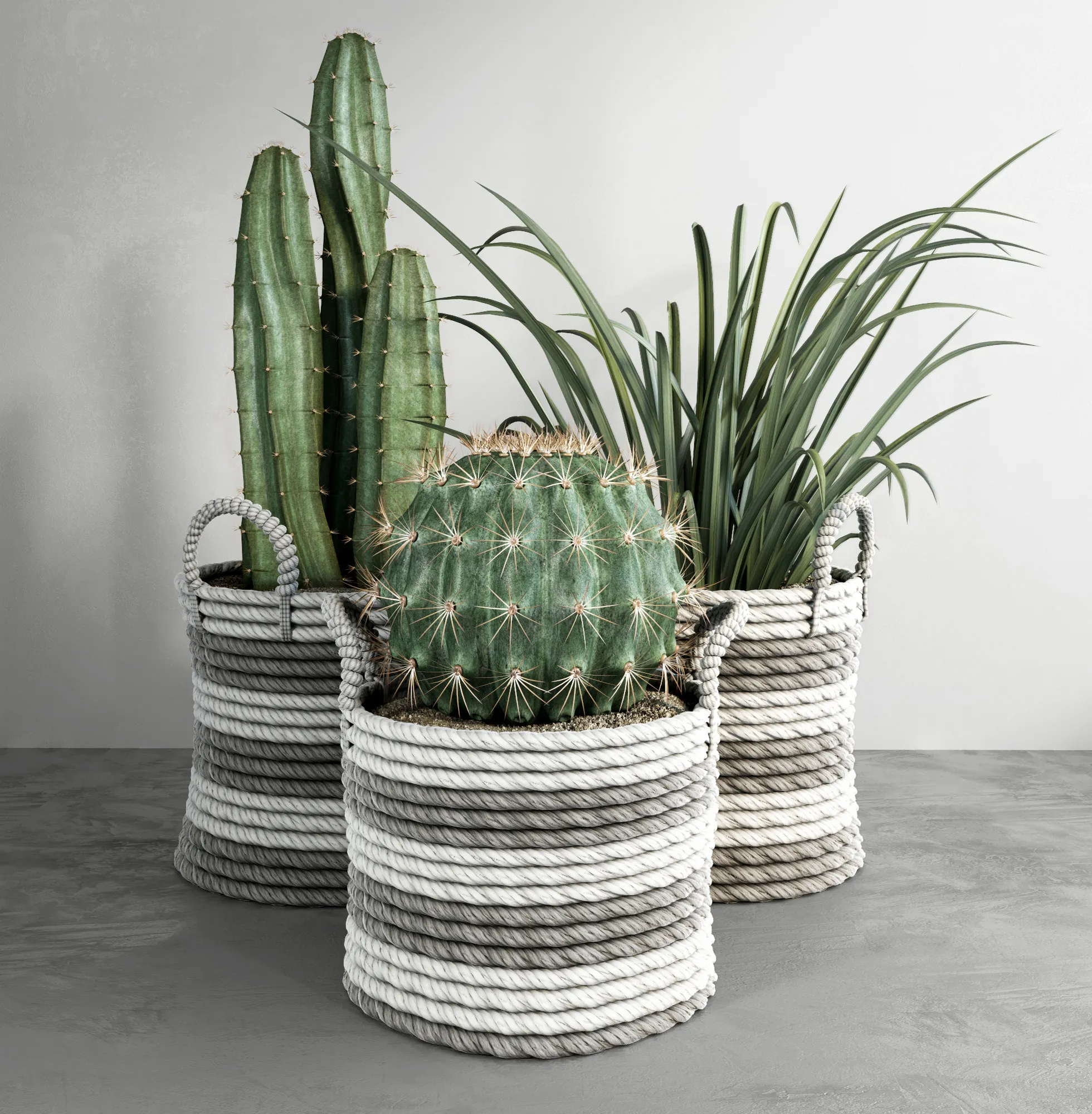 Plants – Flowers – 3D Models Download – cactus.set