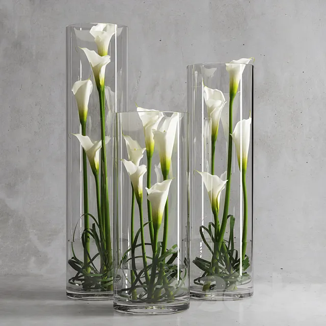 Plants – Flowers – 3D Models Download – Calla Lily 6