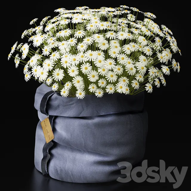 Plants – Flowers – 3D Models Download – Chamomilewith love