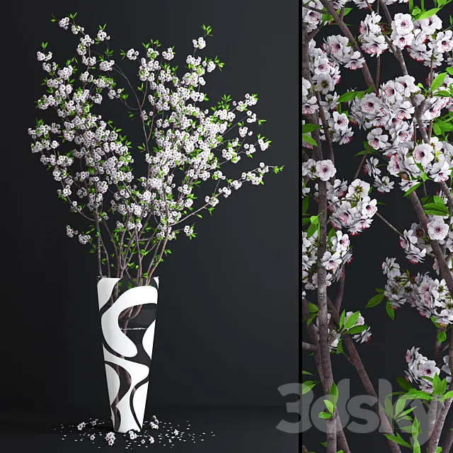 Plants – Flowers – 3D Models Download – Cherry White Blossom 3D model