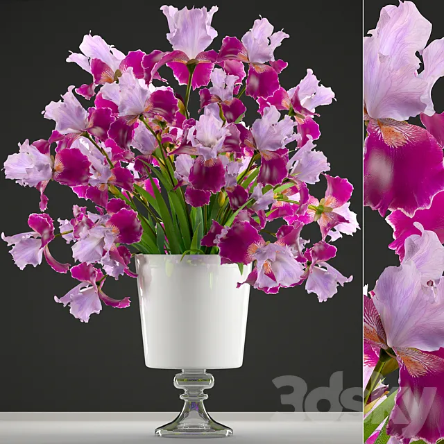 Plants – Flowers – 3D Models Download – Collection of flowers 43 Iris