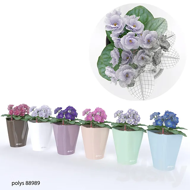 Plants – Flowers – 3D Models Download – Colored violets
