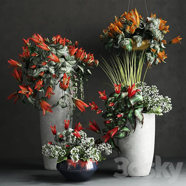 Plants – Flowers – 3D Models Download – Confetti