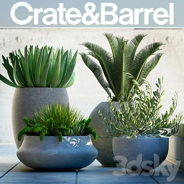 Plants – Flowers – 3D Models Download – Crate & Barrel – PLANTS 78