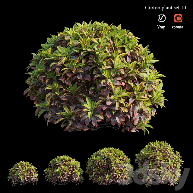 Plants – Flowers – 3D Models Download – Croton plant set 10 (4 tree)