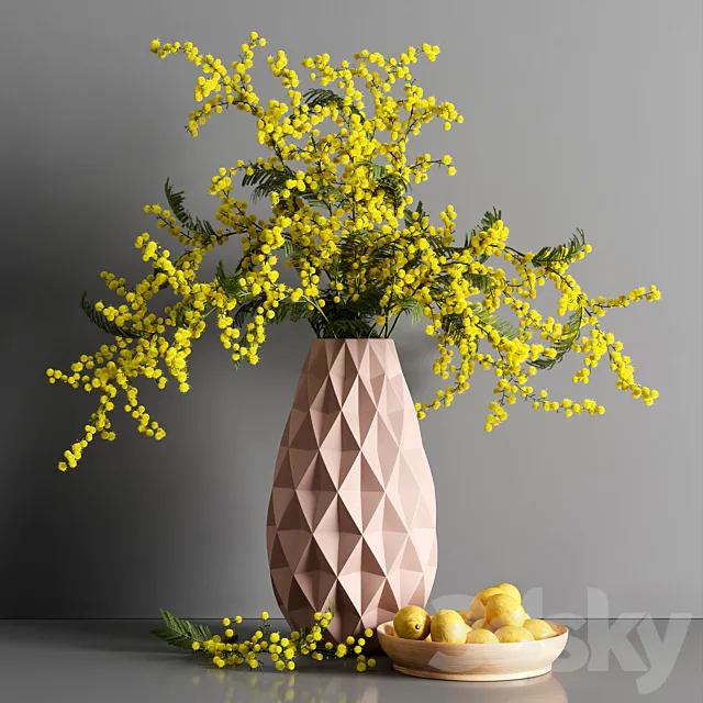 Plants – Flowers – 3D Models Download – Decorative Mimosa Lemon