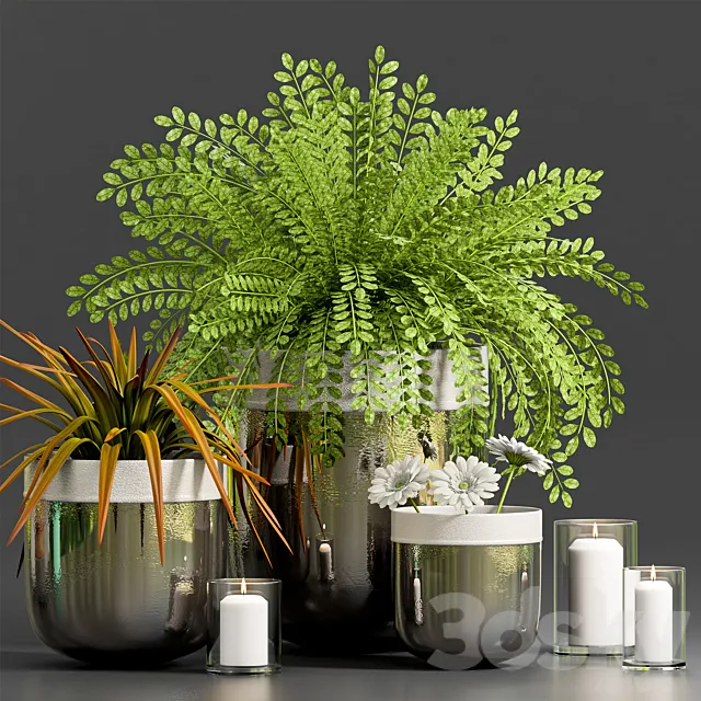 Plants – Flowers – 3D Models Download – DECORATIVE PLANT WITH GERBERA FLOWER
