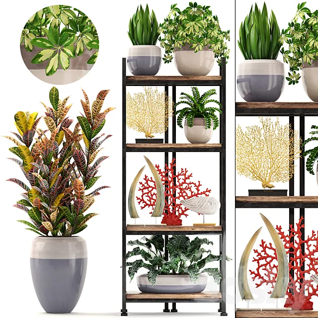 Plants – Flowers – 3D Models Download – Decorative set. 6th