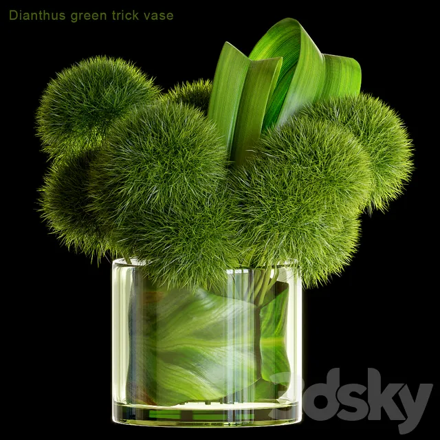 Plants – Flowers – 3D Models Download – Dianthus green trick vase
