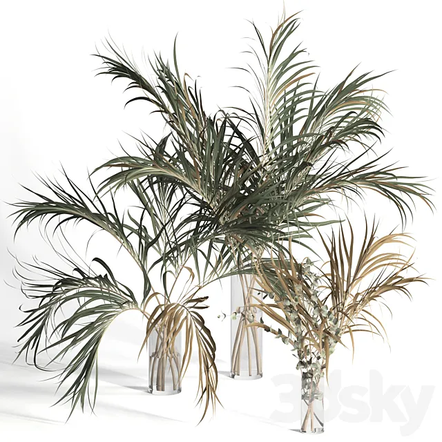 Plants – Flowers – 3D Models Download – Dry palm leaves in vases