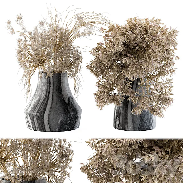 Plants – Flowers – 3D Models Download – Dry plants 14
