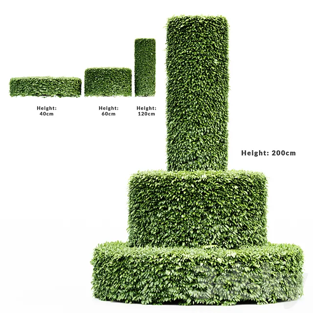 Plants – Flowers – 3D Models Download – Dwarf Yaupon Holly-Cylinder tree collection