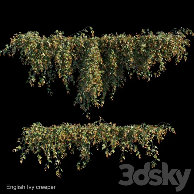 Plants – Flowers – 3D Models Download – English Ivy creeper (max; fbx) 3d model