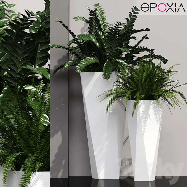Plants – Flowers – 3D Models Download – Epoxia diamond – Plants 19