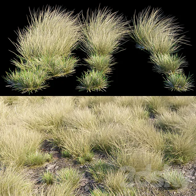 Plants – Flowers – 3D Models Download – Eskdale grass