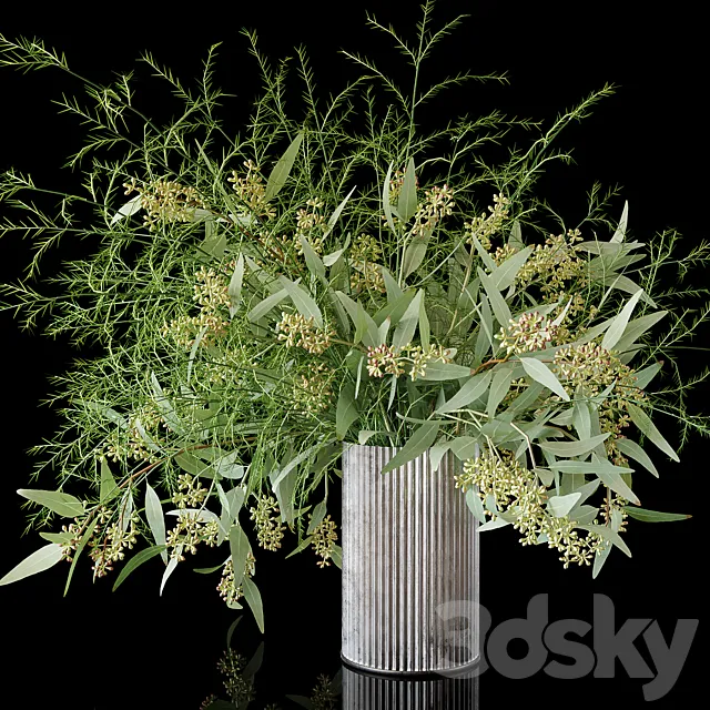 Plants – Flowers – 3D Models Download – Eucalyptus