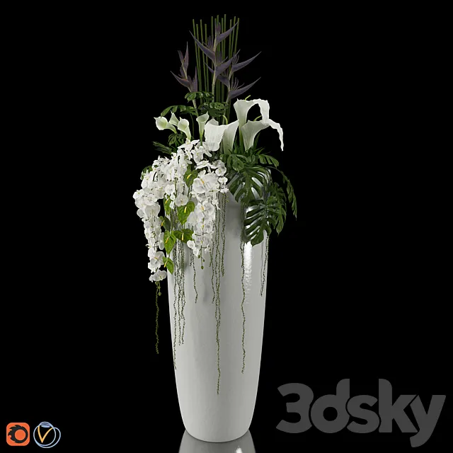 Plants – Flowers – 3D Models Download – EXOTIC arrangement