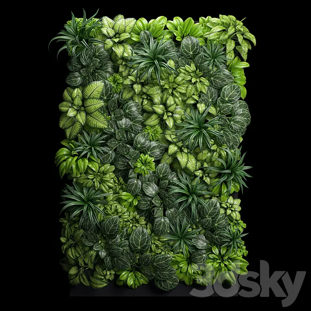 Plants – Flowers – 3D Models Download – Fitostena 02