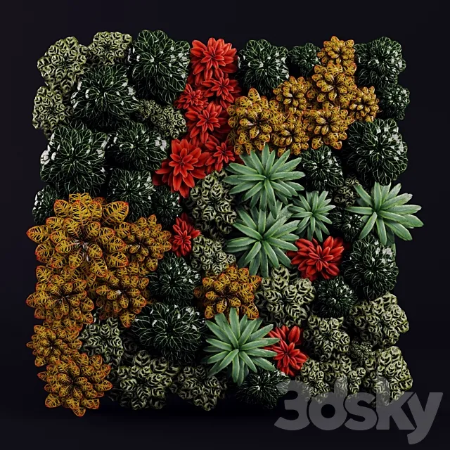 Plants – Flowers – 3D Models Download – Fitostena 03