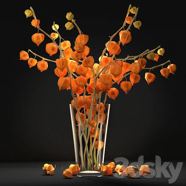 Plants – Flowers – 3D Models Download – Fizalis. 2