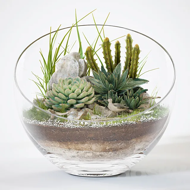 Plants – Flowers – 3D Models Download – Florarium 15