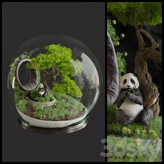 Plants – Flowers – 3D Models Download – Florarium Bonsai