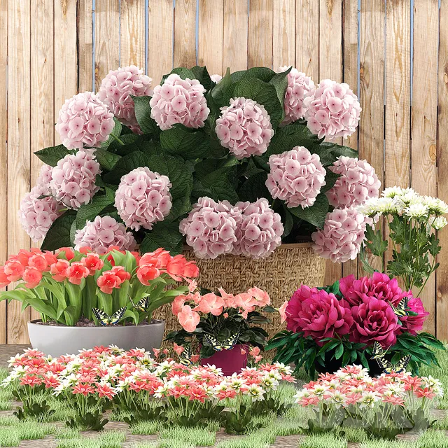 Plants – Flowers – 3D Models Download – Flower beds