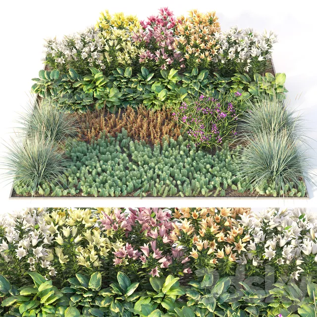 Plants – Flowers – 3D Models Download – Flower garden 3