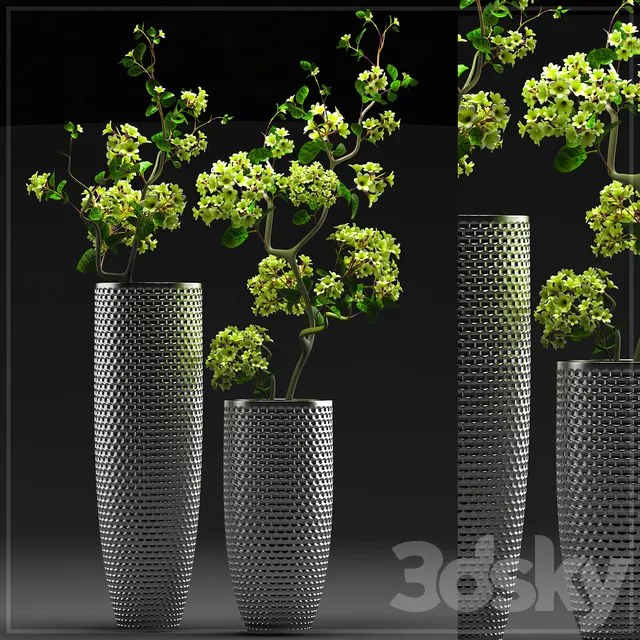 Plants – Flowers – 3D Models Download – FLOWER SET 3