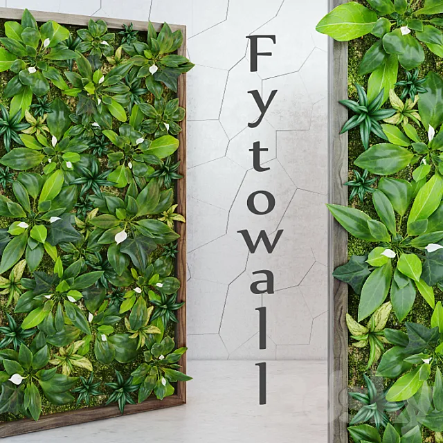 Plants – Flowers – 3D Models Download – Fytowall Spatifilum