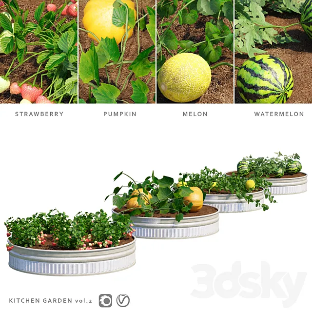 Plants – Flowers – 3D Models Download – Garden Kitchen garden.vol 2